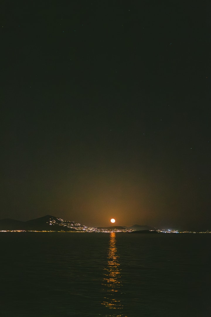 A Love Story Sealed in Sunlight and Sea Breeze: The Wedding of Jordan & Alexandra