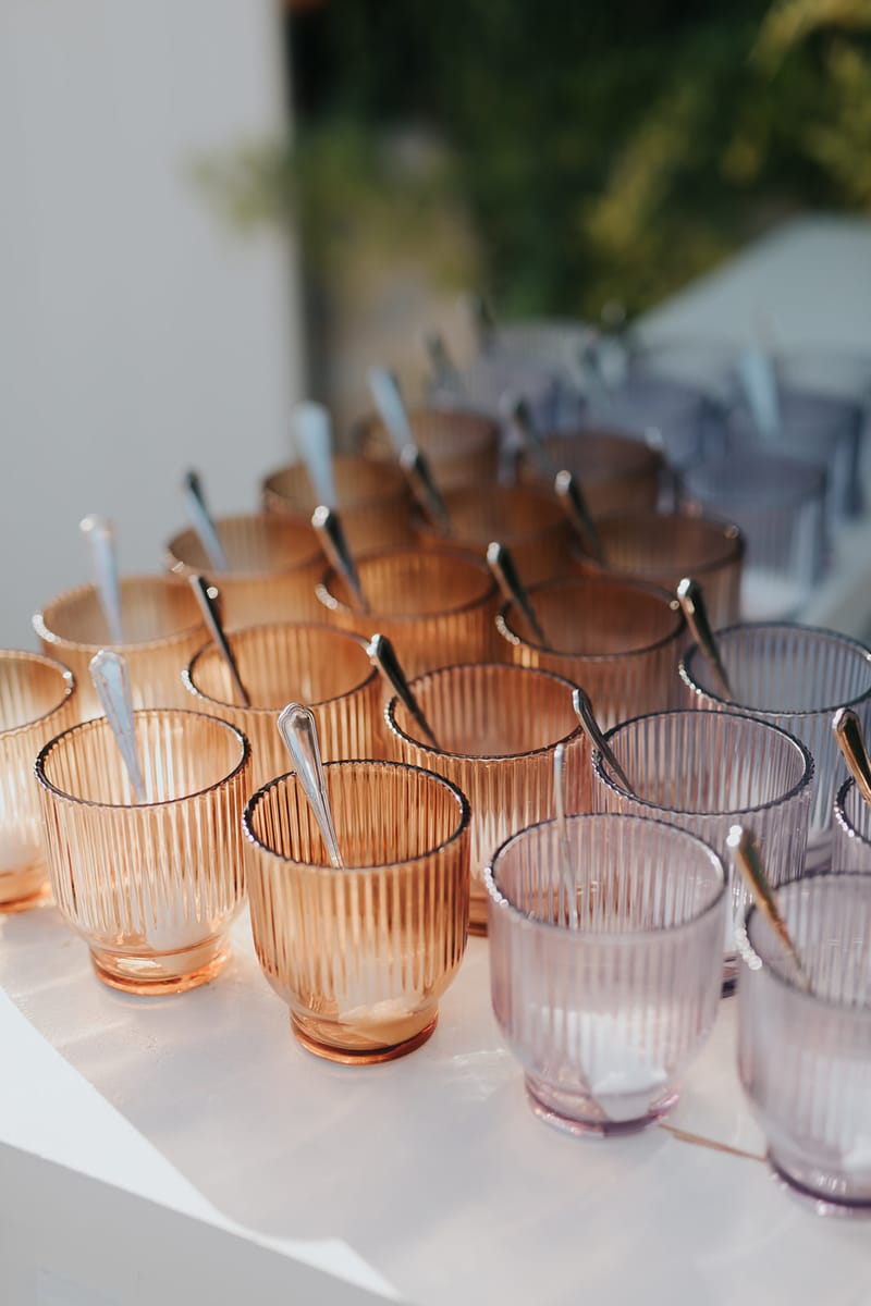 Eric and Priyanka Wedding in Mani 