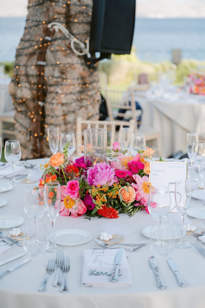 Nisha & Amar Wedding in Athenian Riviera