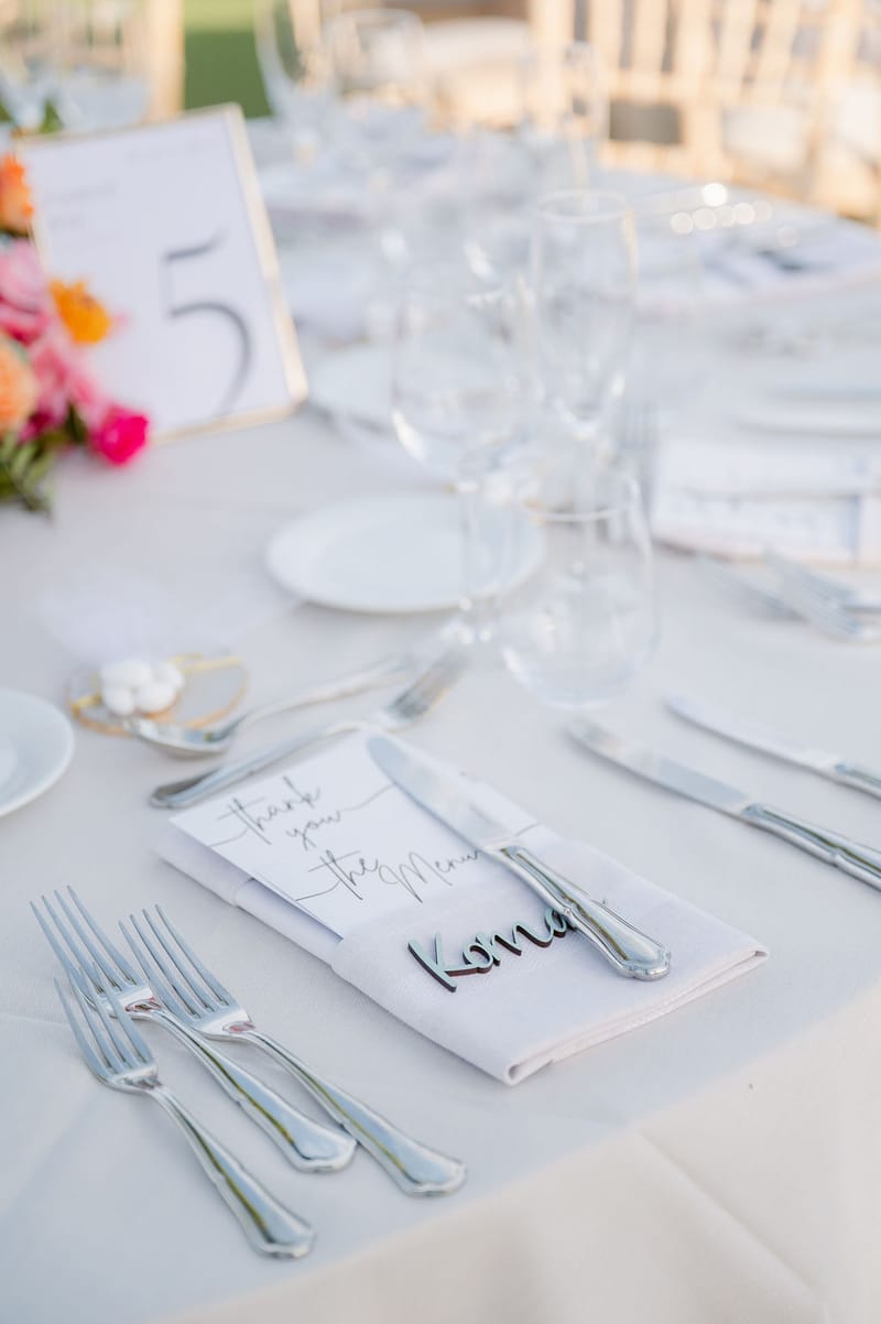 Nisha & Amar Wedding in Athenian Riviera