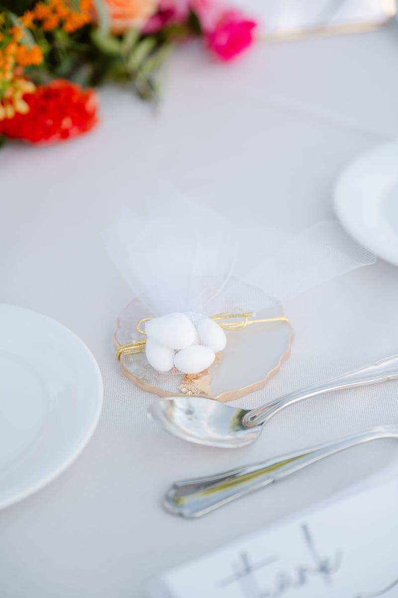 Nisha & Amar Wedding in Athenian Riviera