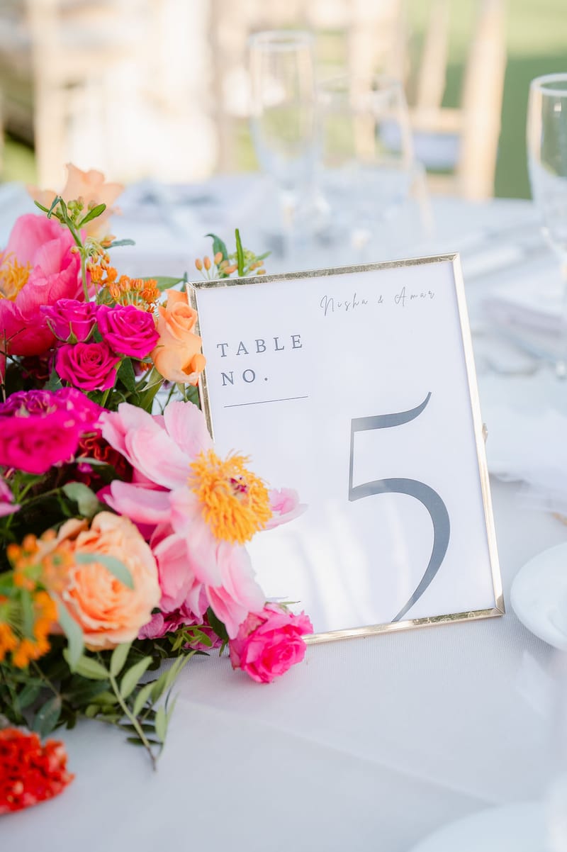 Nisha & Amar Wedding in Athenian Riviera