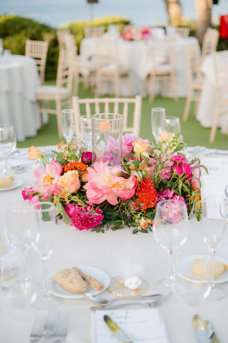 Nisha & Amar Wedding in Athenian Riviera