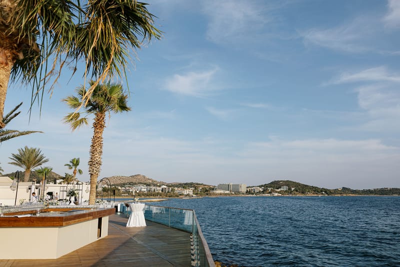 Dona & Nicolas Wedding in Athens