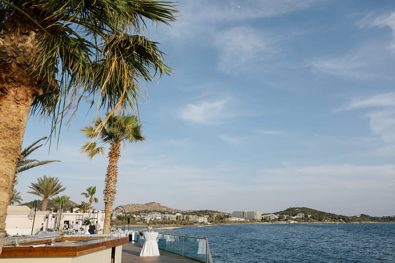 Dona & Nicolas Wedding in Athens