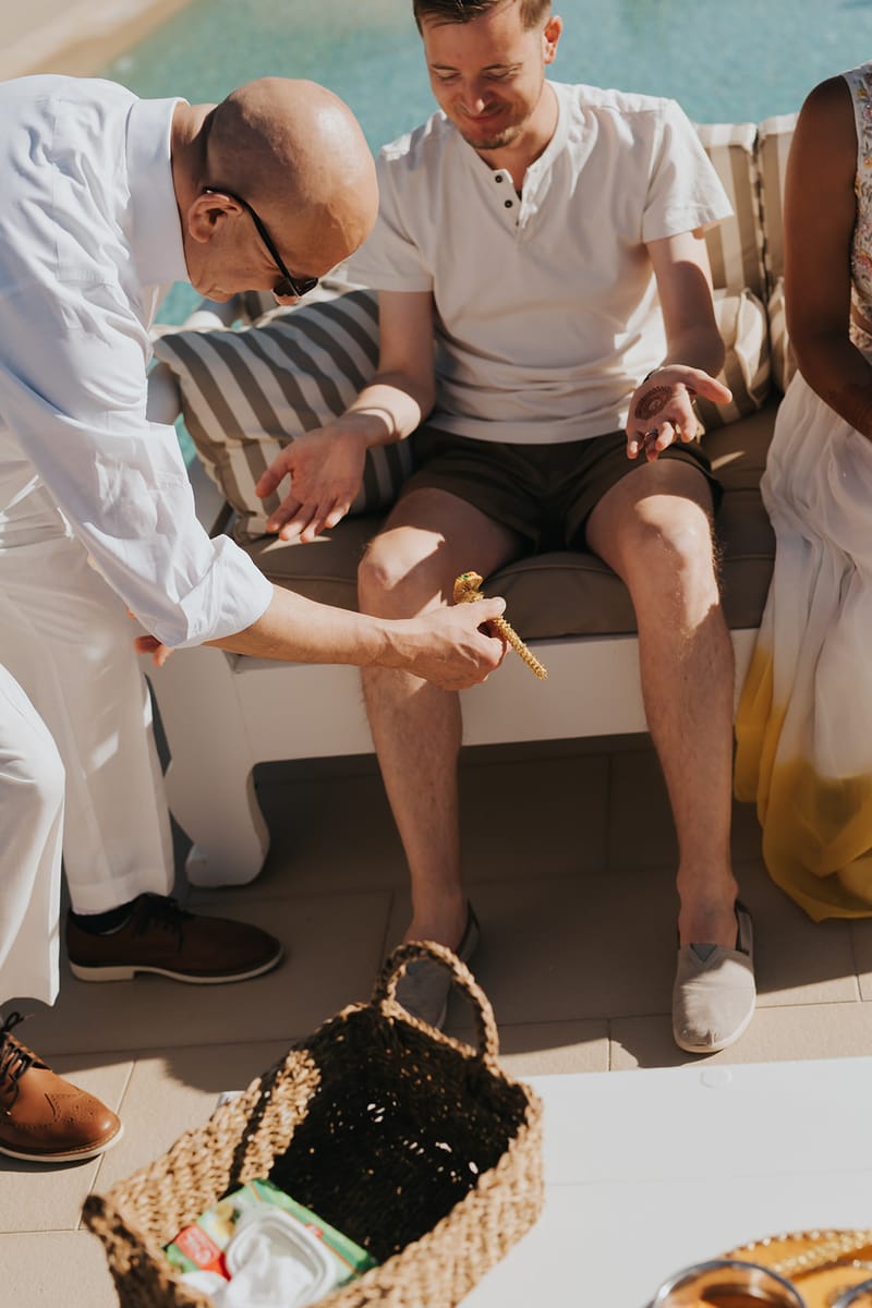 Priyanka and Eric's Mehndi in Mani