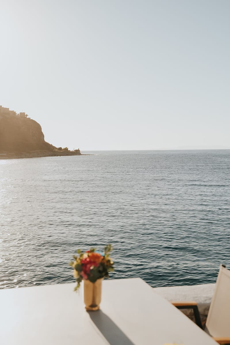 Priyanka and Eric's Sangeet in Mani