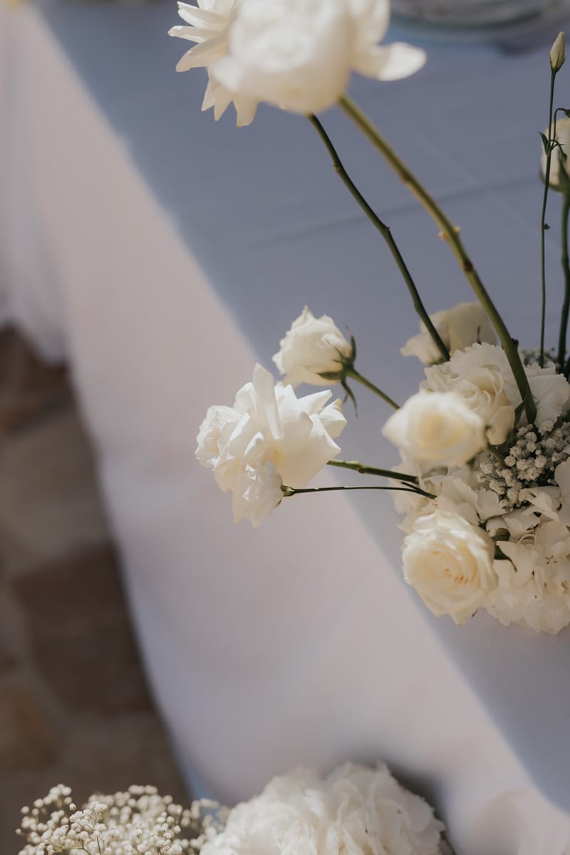 Hrysovalanto and Enrico Wedding in Zakynthos