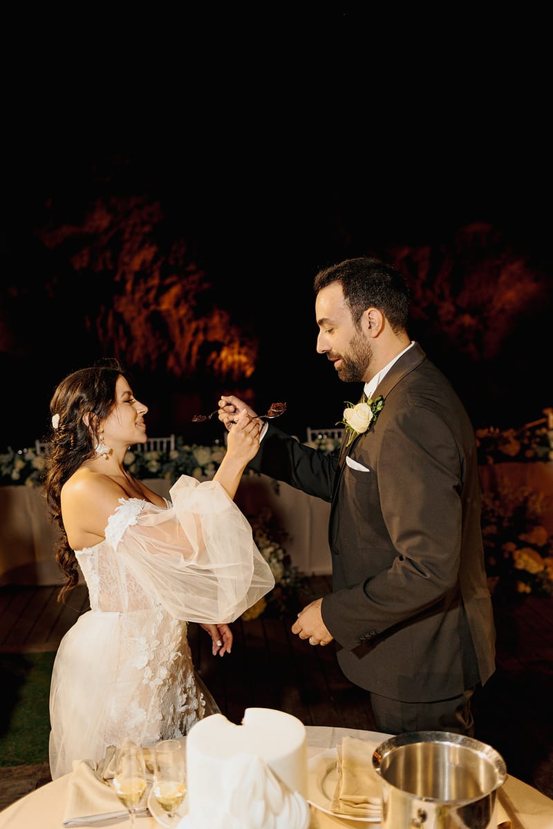 Cake and First Dance