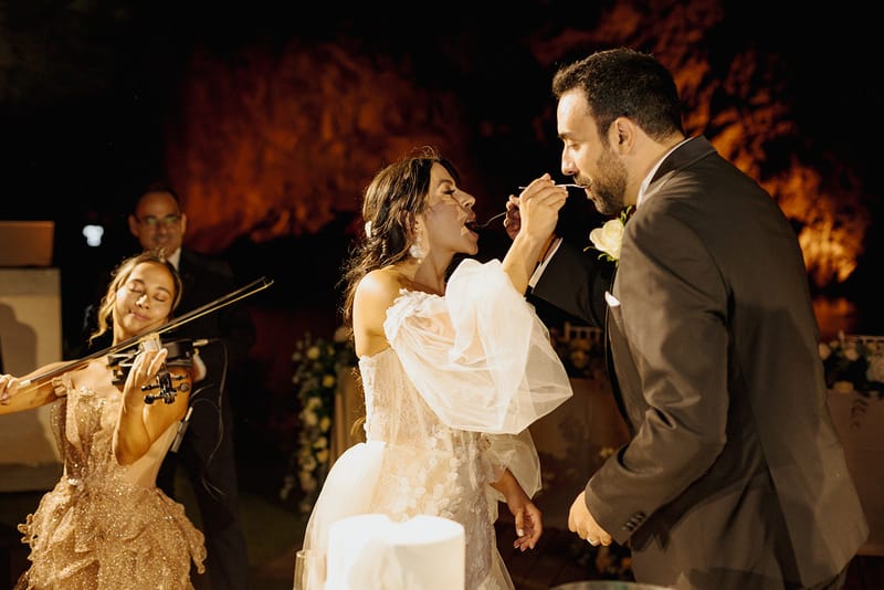 Cake and First Dance
