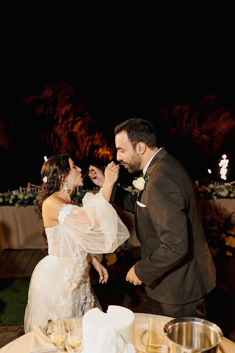 Cake and First Dance