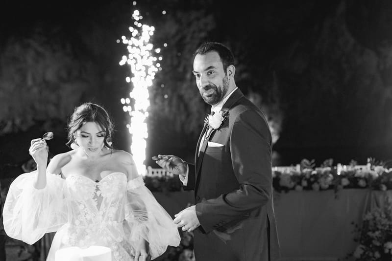 Cake and First Dance