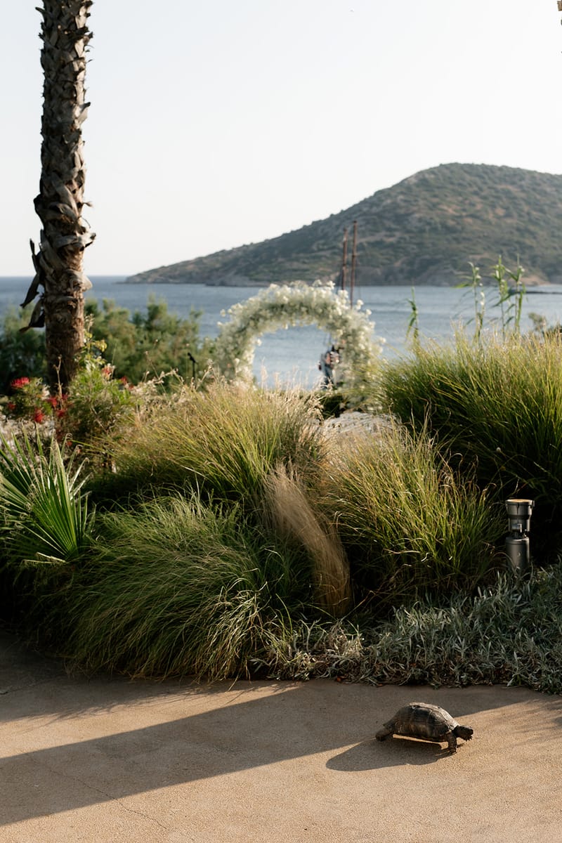 Jonna & Niklas Wedding in Athens