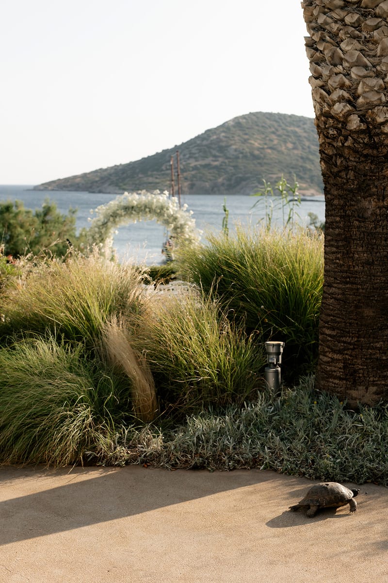 Jonna & Niklas Wedding in Athens