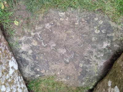 Altar Stone    fossil patterning  image