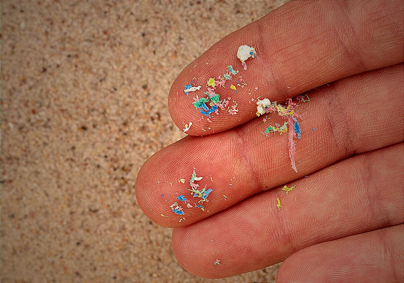 Zaitrus: Im Kampf gegen Mikroplastik