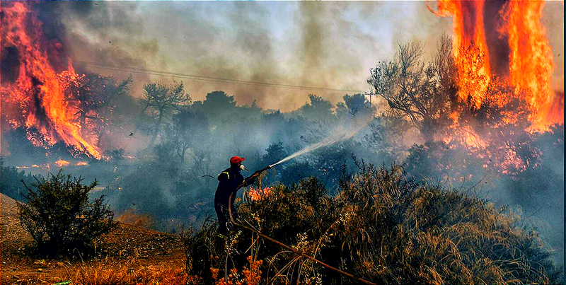 OroraTech: Mit Satelliten gegen Feuerwalzen