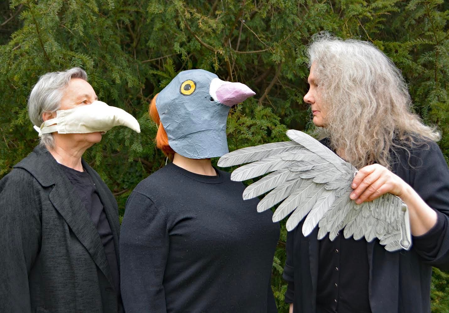 In the Likeness of Birds