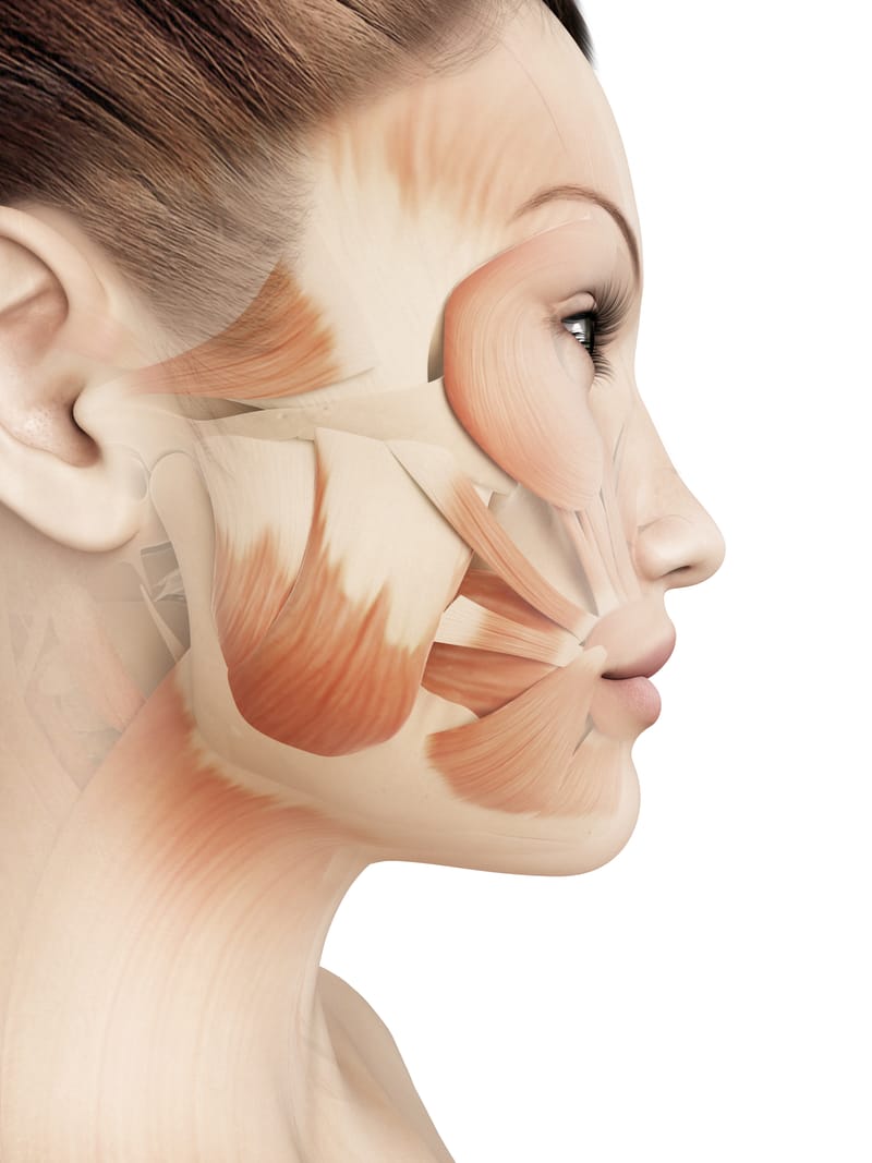 Massage du Visage MYO TECHNIQUE FACIAL (environ 90mn)