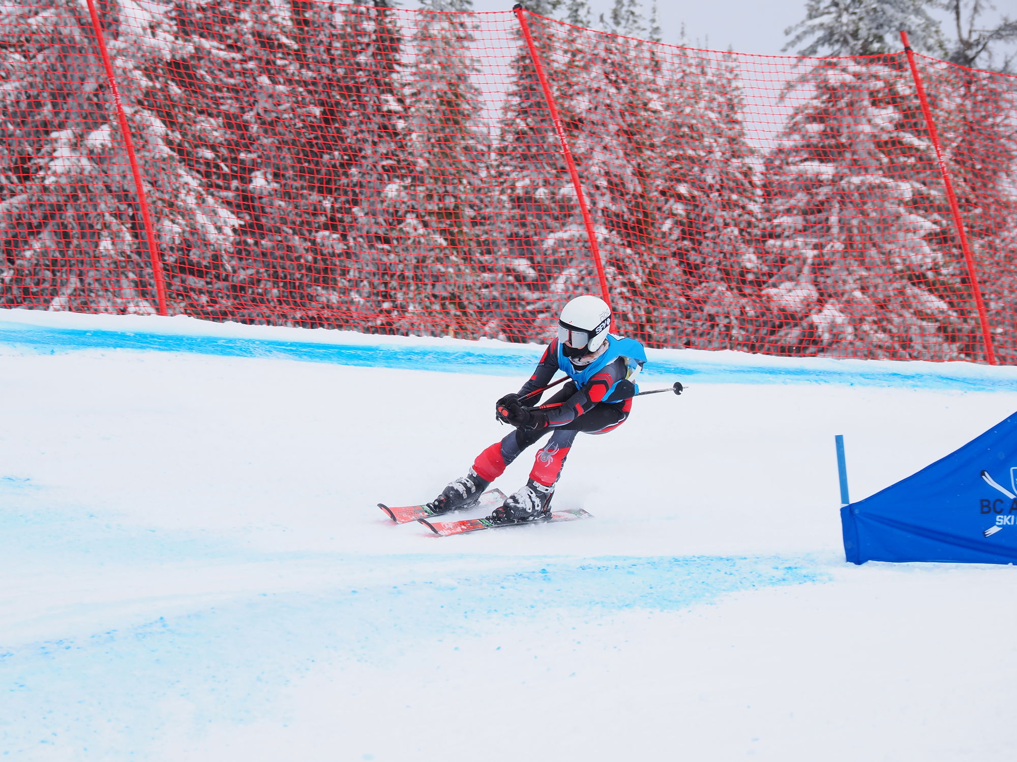 Teck Provincial Ski Cross