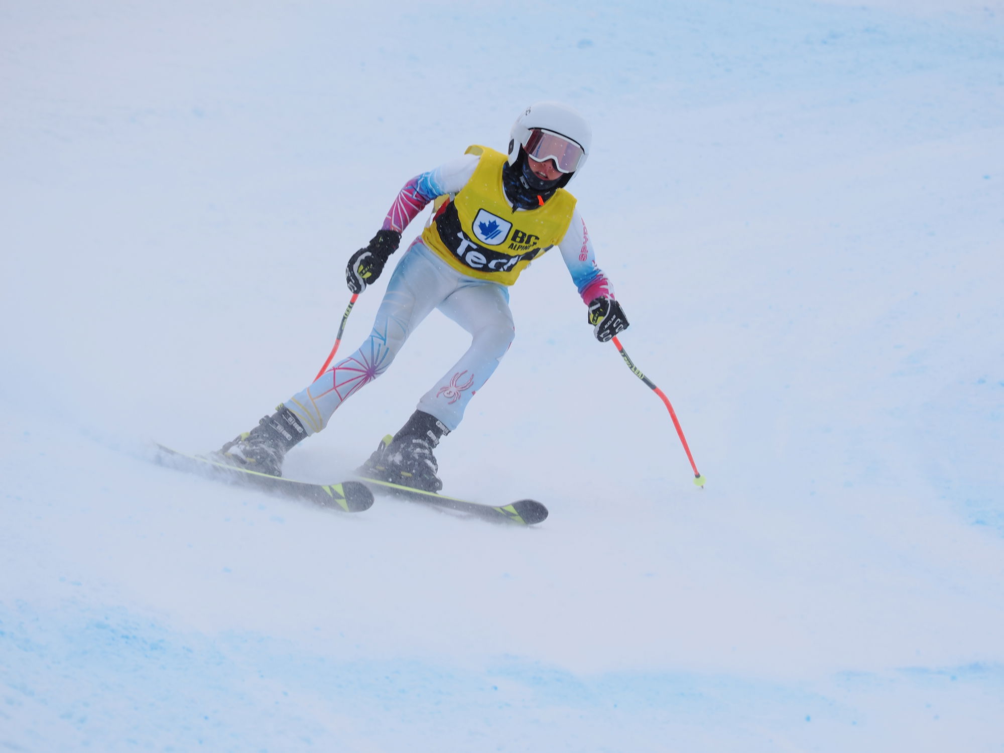 Teck Provincial Ski Cross