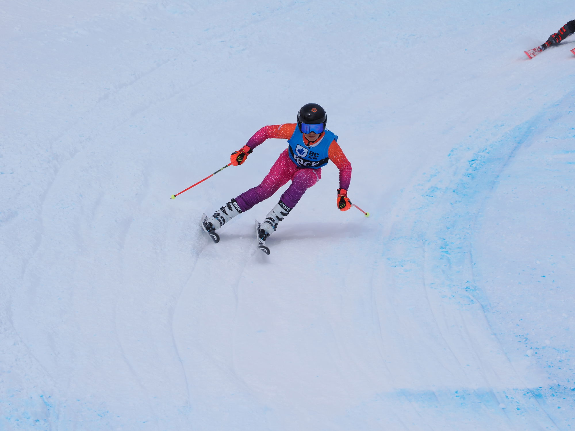 Teck Provincial Ski Cross