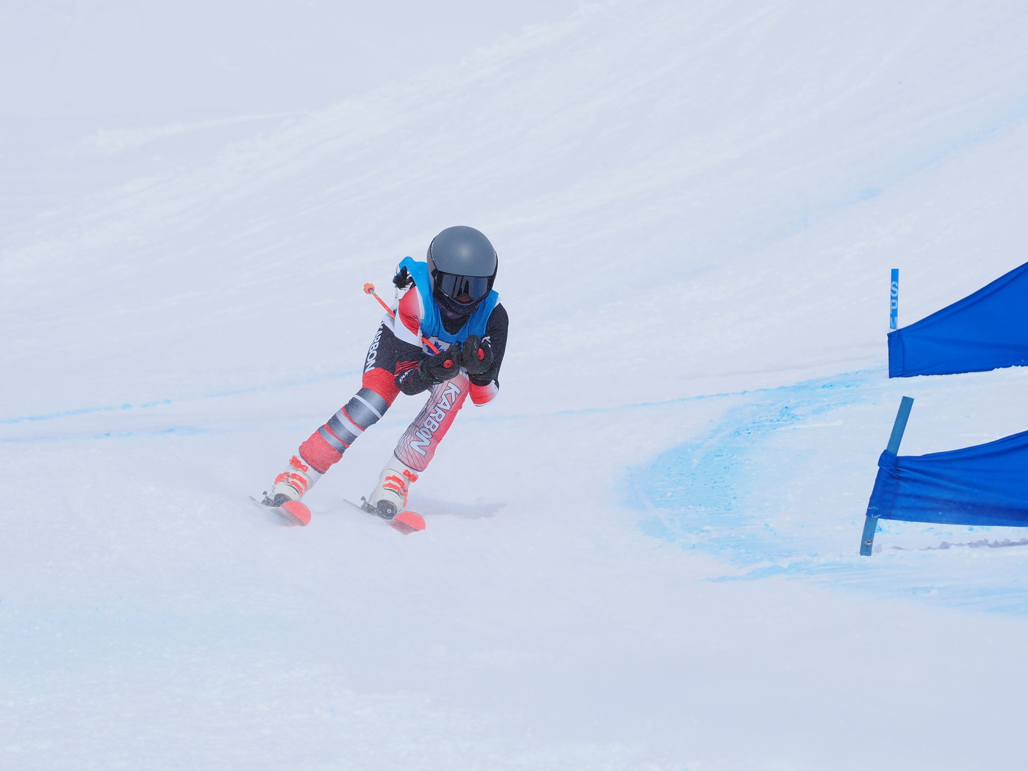 Teck Provincial Ski Cross