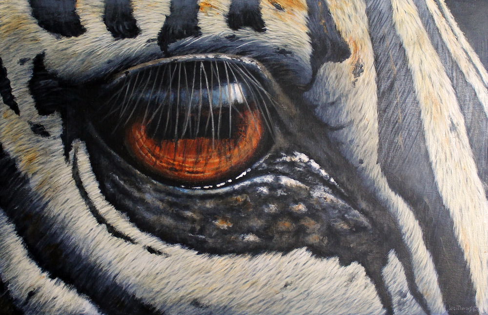Zebra Eye Up Close. Original painting by South African wildlife artist Joe Marais. Acrylic on canvas.