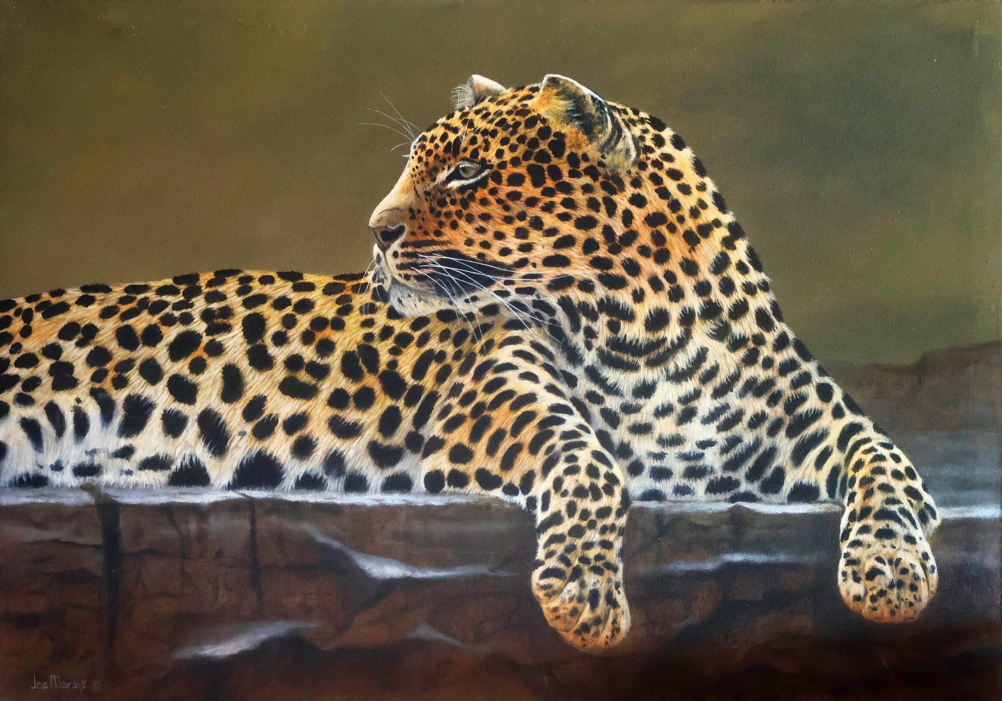 The Apex Predator - Leopard Rock. Original Leopard painting by South African wildlife artist Joe Marais. Acrylic on canvas.