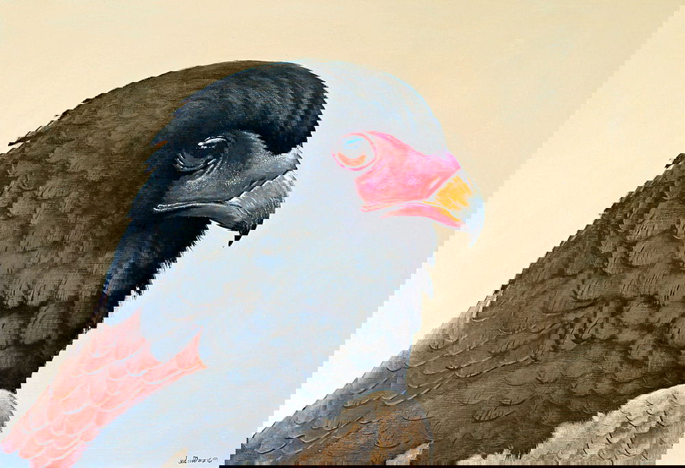 Prince of the Sky. Original painting by South African wildlife artist Joe Marais. Acrylic on canvas.