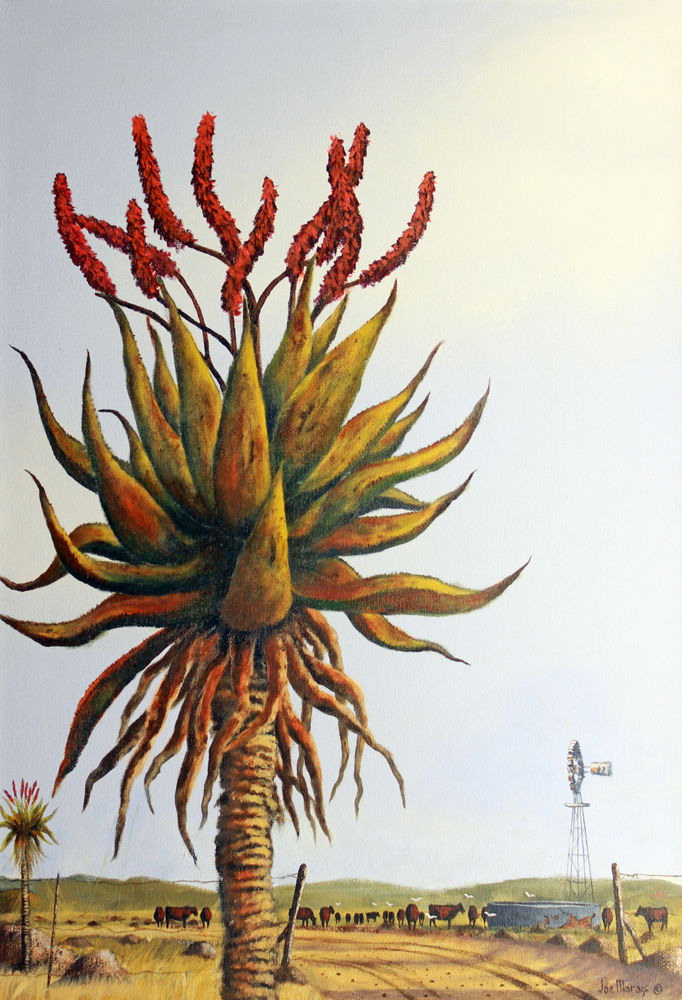 Lily of the Desert. Original Aloe painting by South African wildlife artist Joe Marais. Acrylic on canvas.