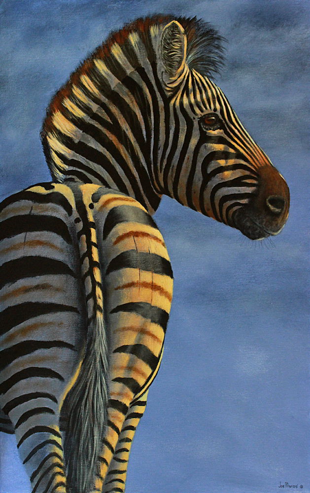 The Stallion - Leader of the Dazzle.