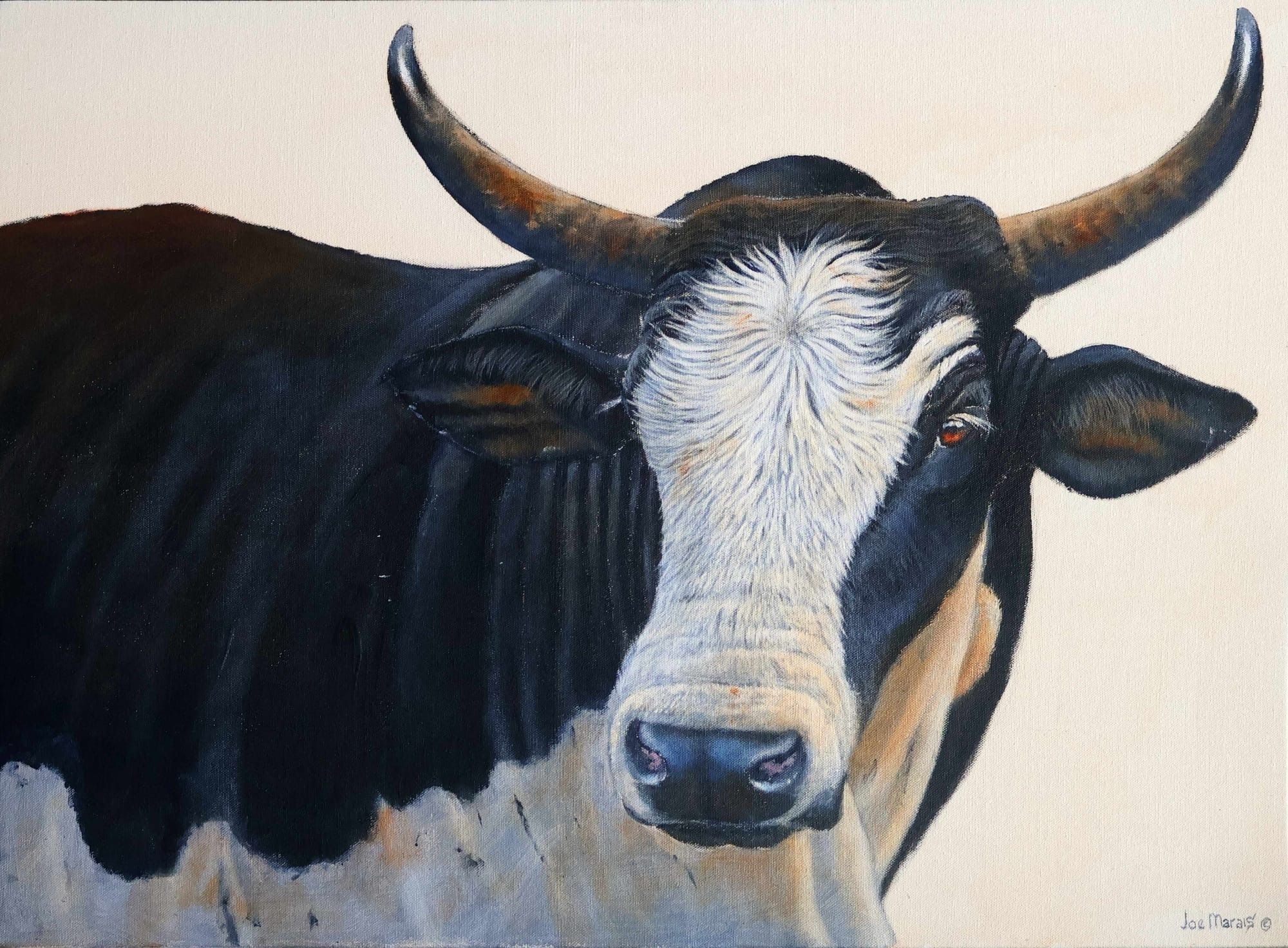 Nguni Majesty — Original Nguni Bull Acrylic Painting | Joe Marais Art