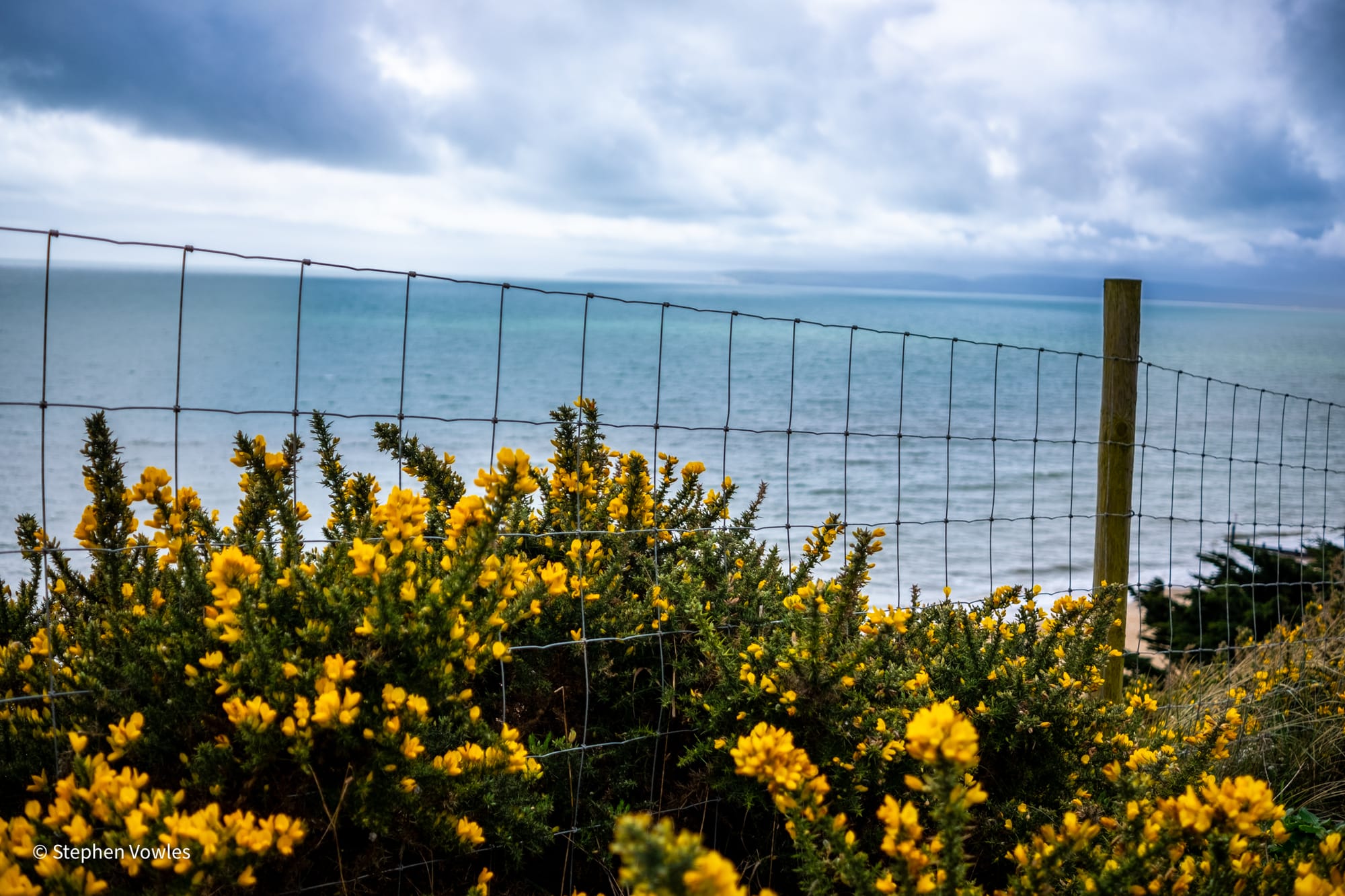 An Ode to Bournemouth Sandbanks & Swanage