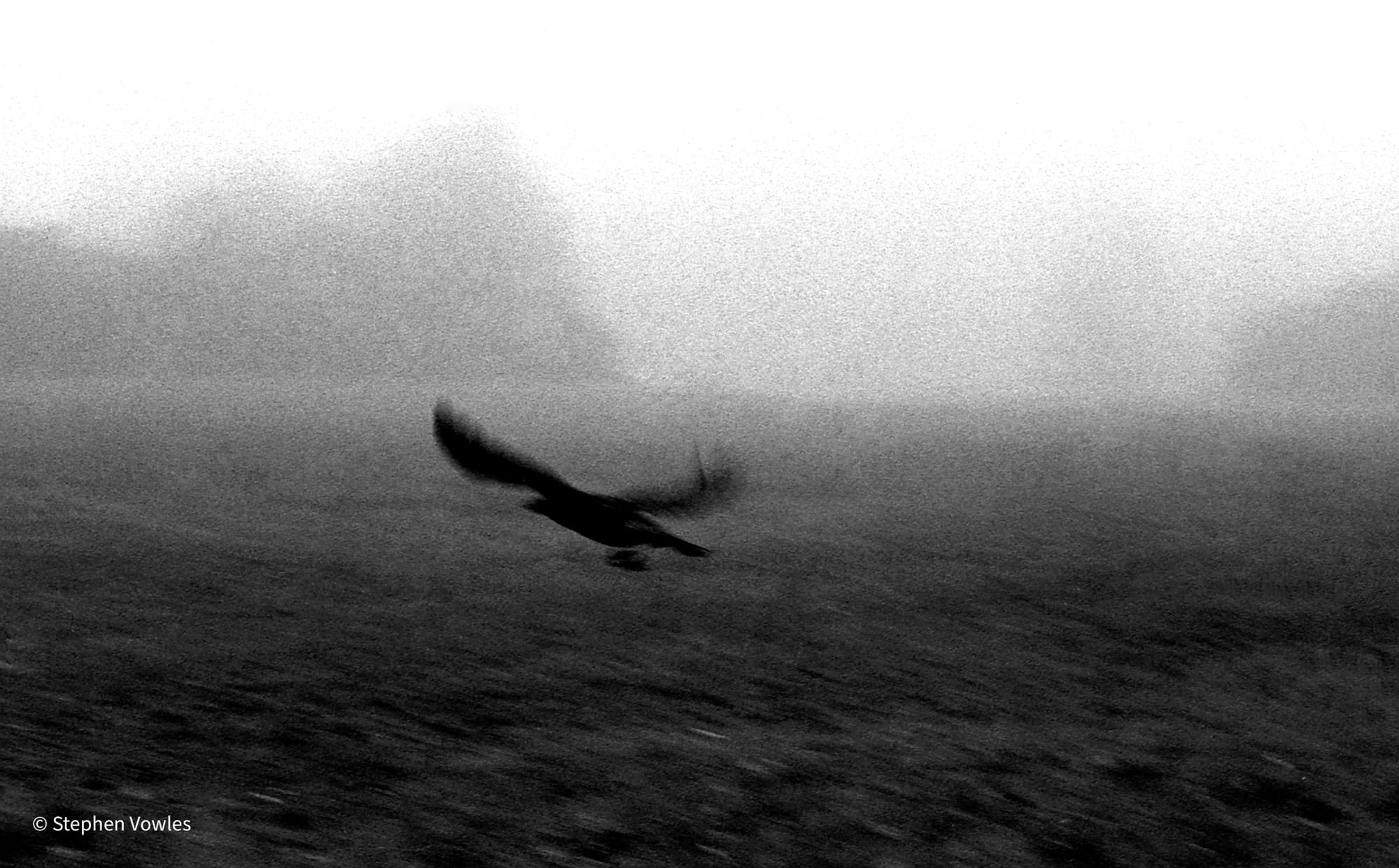 Are, Bure, Boke (grainy, blurry, out-of-focus)