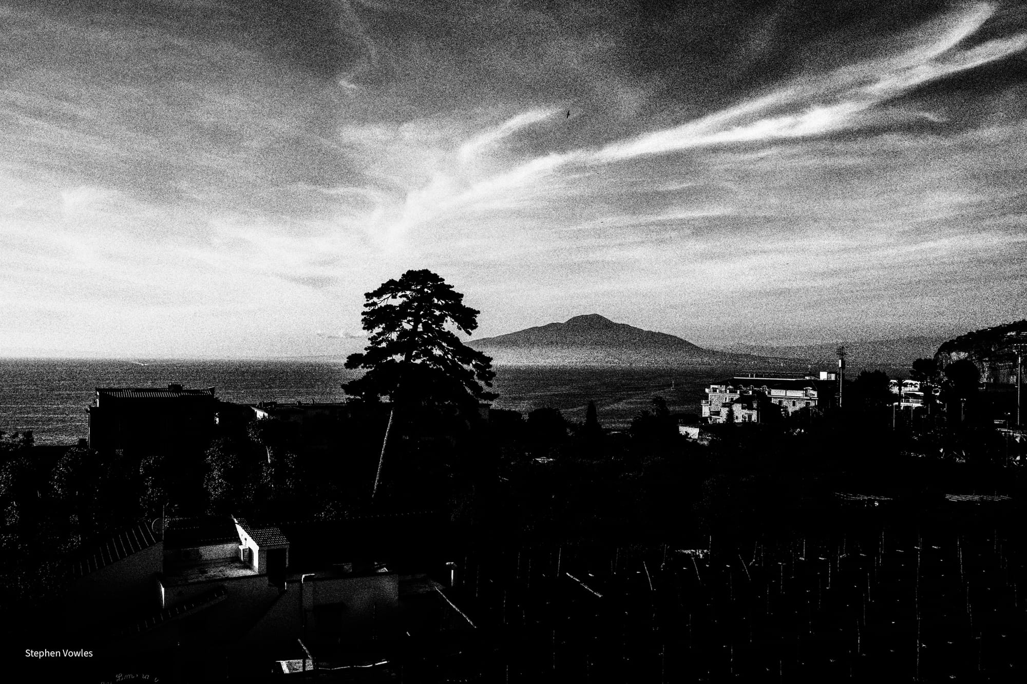 Strictly Black and White.