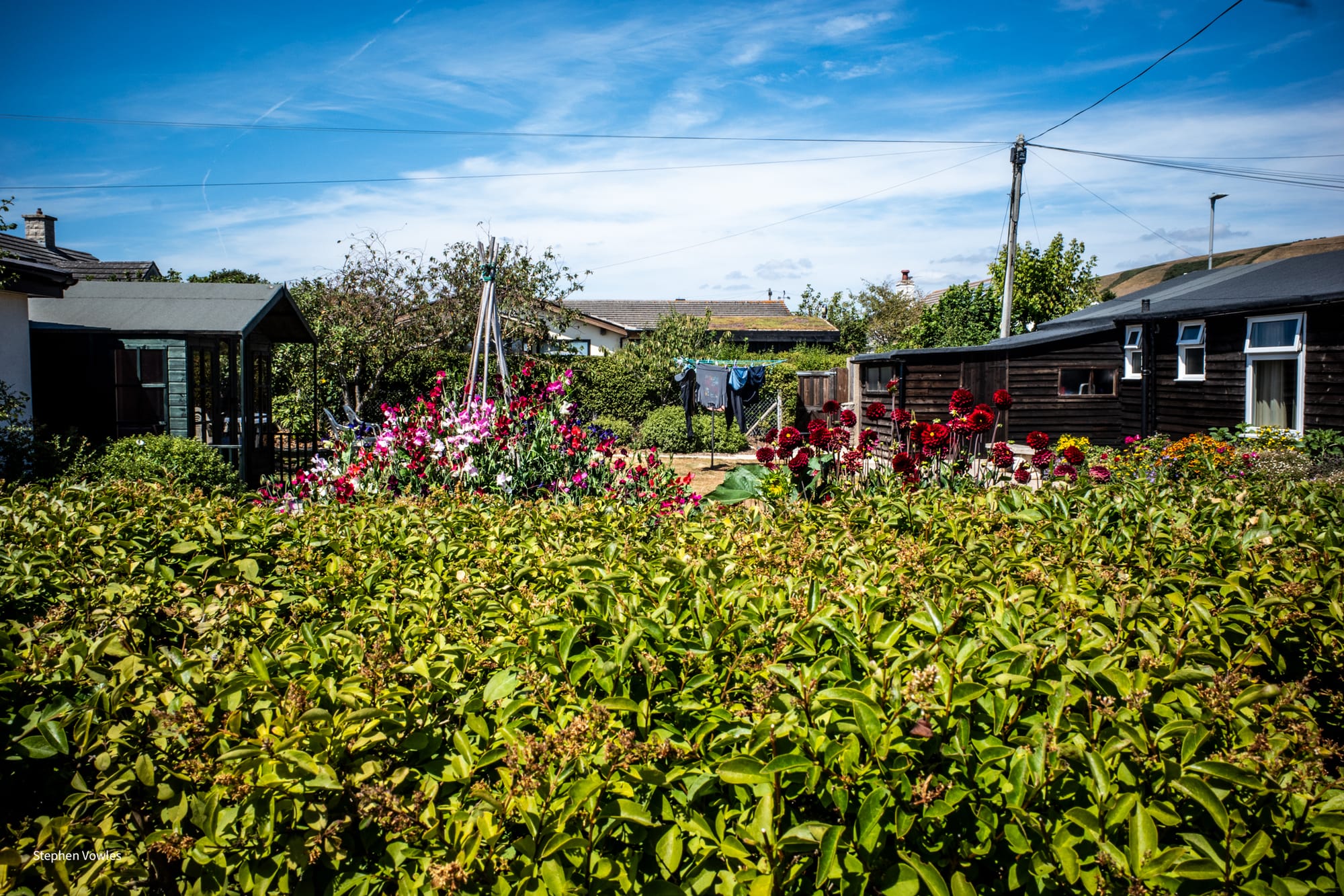 IN AN ENGLISH COUNTRY GARDEN