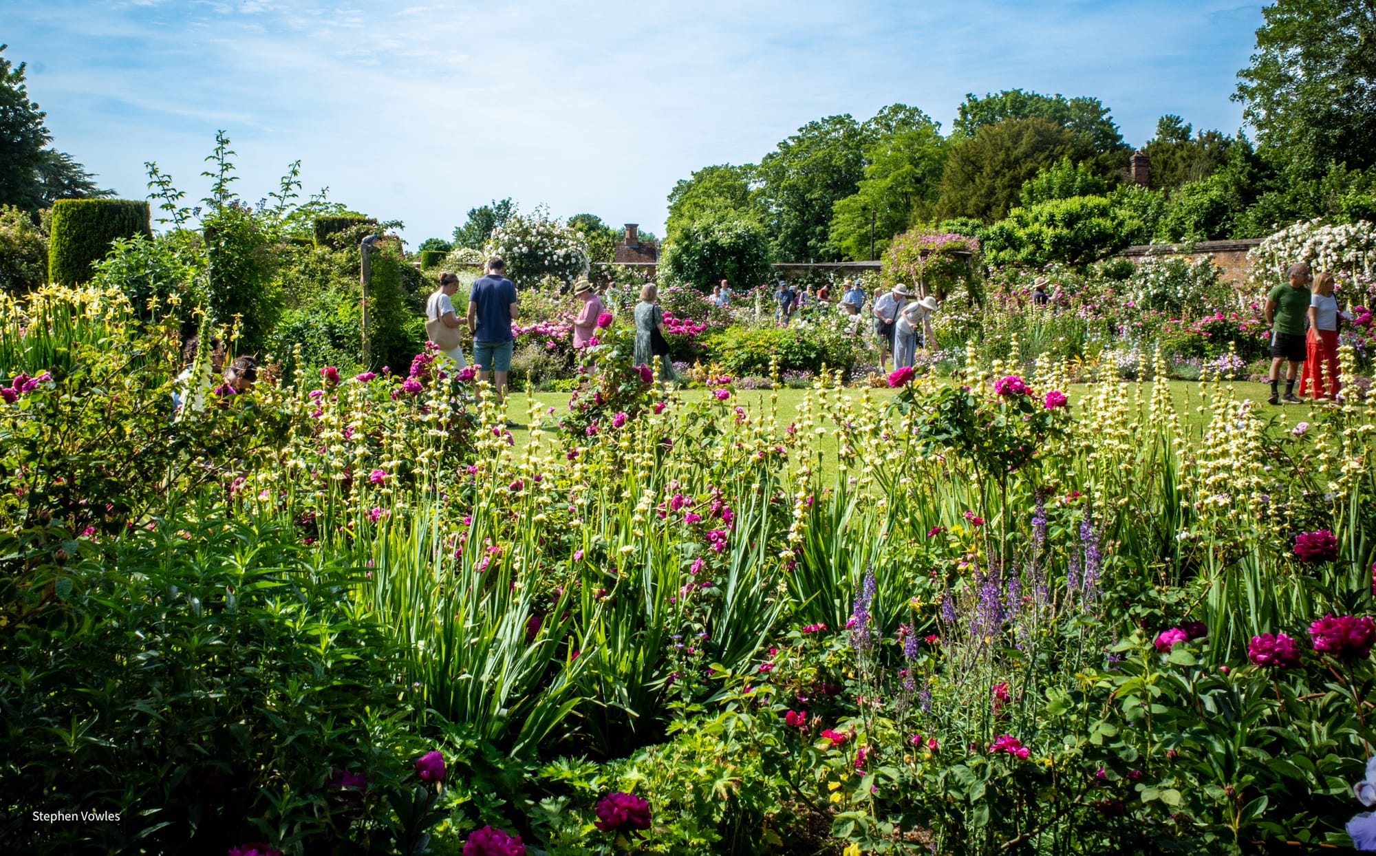 IN AN ENGLISH COUNTRY GARDEN
