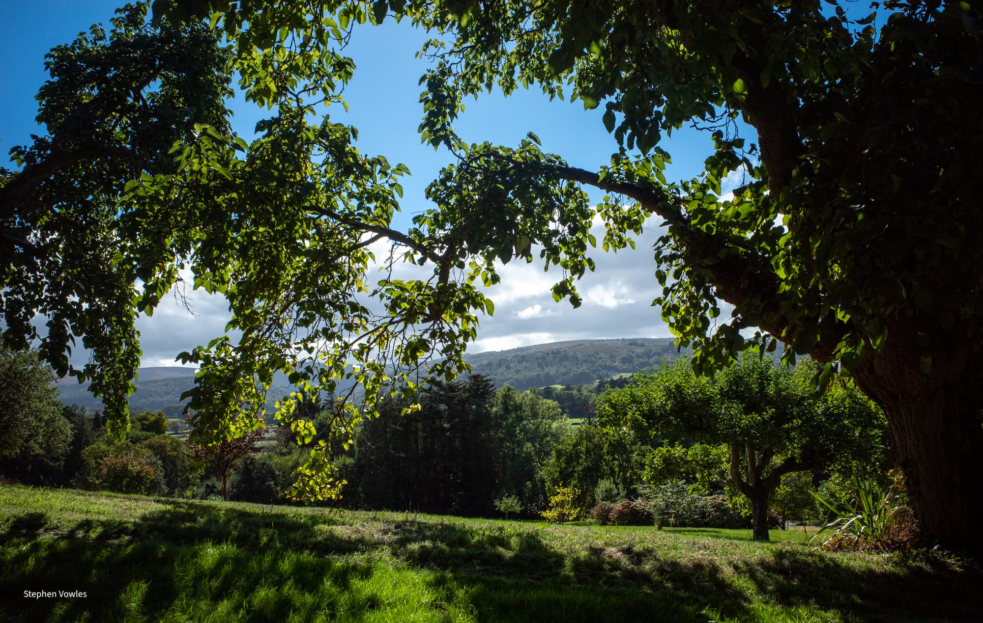 IN AN ENGLISH COUNTRY GARDEN