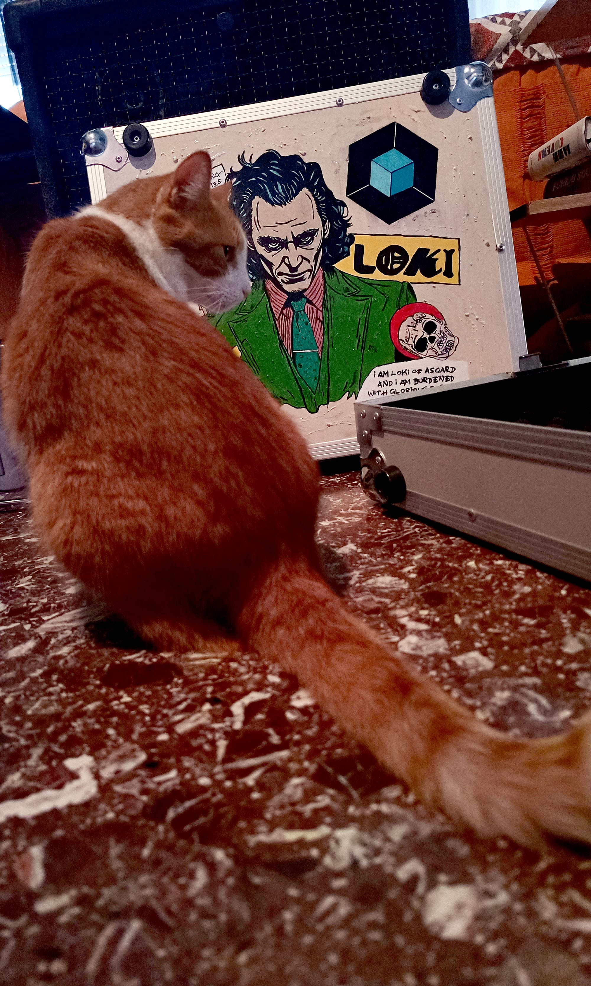 CUSTOM LOKI PEDALBOARD SUITCASE FLIGHT CASE