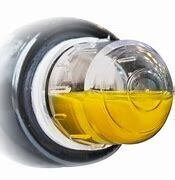 Level Sight Glass