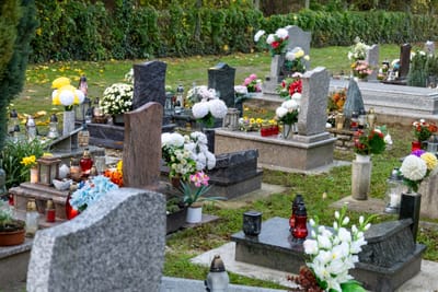 Calendario Mensile image