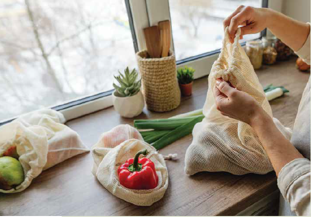 המטבח - הלב האקולוגי של הבית