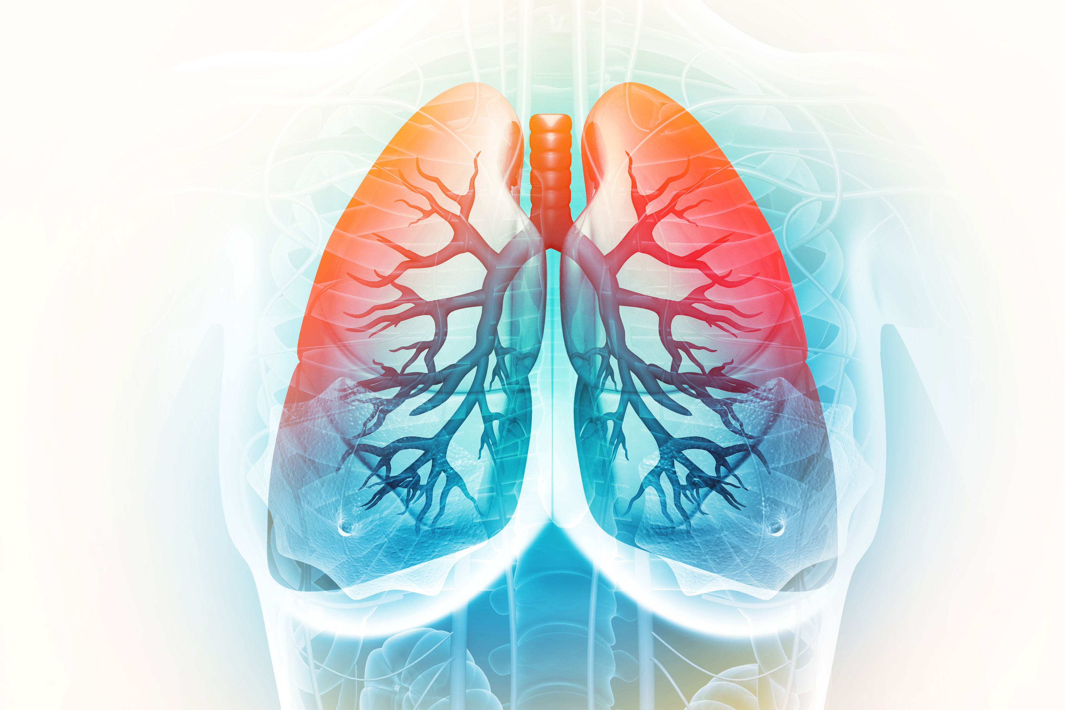 A static artisitic picture of lungs