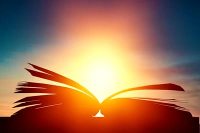 سِفِر الأحبار - الفصل السادس عشر - ٣ - قواعِد في الطاهر والنجس - للفصل السادس عشر هو يوم التكفير - ٥ - الذبائح الإضافيَّة - الآيات الثالثة والعشرون حتَّى الثامنة والعشرون