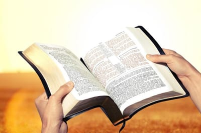 سِفِر الأحبار - الفصل الثالث والعشرون - ٤ - شريعة القداسة - للفصل الثالث والعشرون هو رُتَب المواسم السنويَّة والأعياد - د - الأسابيع - الآيات الخامسة عشر حتَّى الثانية والعشرون