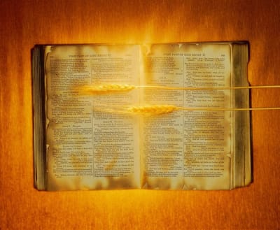 سِفِر الأحبار الفصل الثالث والعشرون - ٤ - شريعة القداسة - للفصل الثالث والعشرون هو رُتب المواسم السنويَّة والأعياد - و - يوم التكفير - الآيات السادسة والعشرون حتَّى الثانية والثلاثون