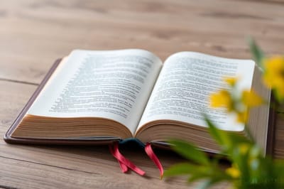 سِفِر تثنية الإشتراع - الفصل التاسع - عنوان المقطع خطايا أخرى وصلاة شفاعة موسى - الآيات الخامسة والعشرون حتَّى التاسعة والعشرون