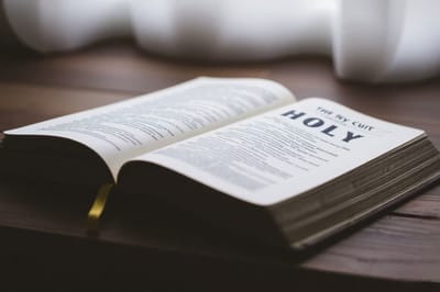 سِفِر تثنية الإشتراع - الفصل الثاني والثلاثون - نشيد موسى - عنوان المقطع الشريعة ينبوع حياة - الآيات الرابعة والأربعون حتَّى السابعة والأربعون