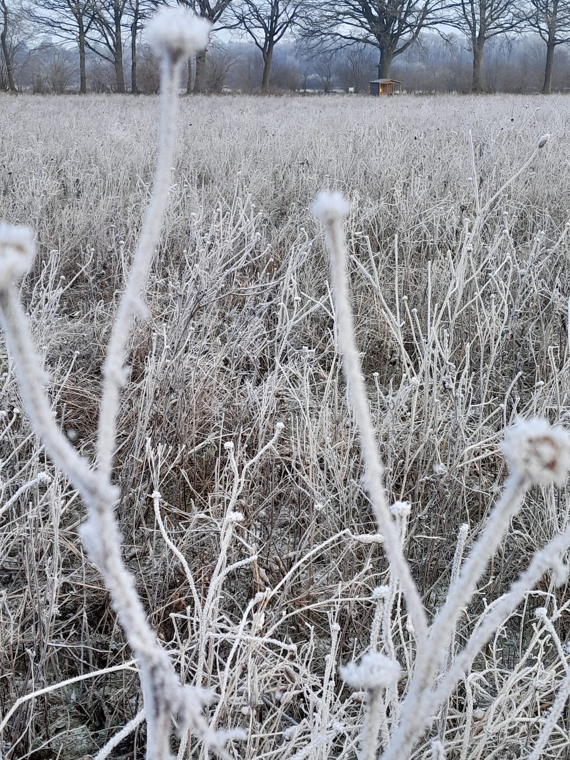 Ab hier läuft die Zeit Rückwärts